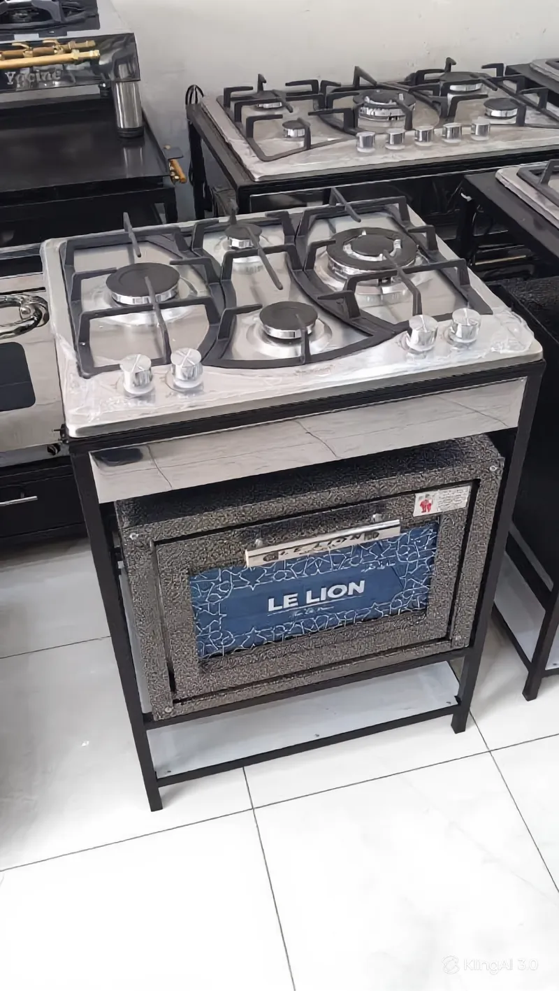  plac 4feu  et 5feu avec four Lion  